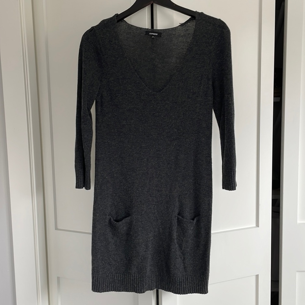 Express Sweater Dress
